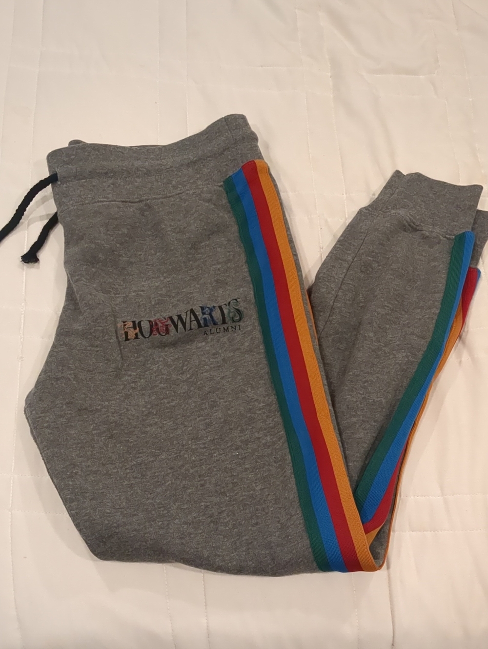 Harry Potter Hogwarts Alumni Grey Joggers with Side Stripes